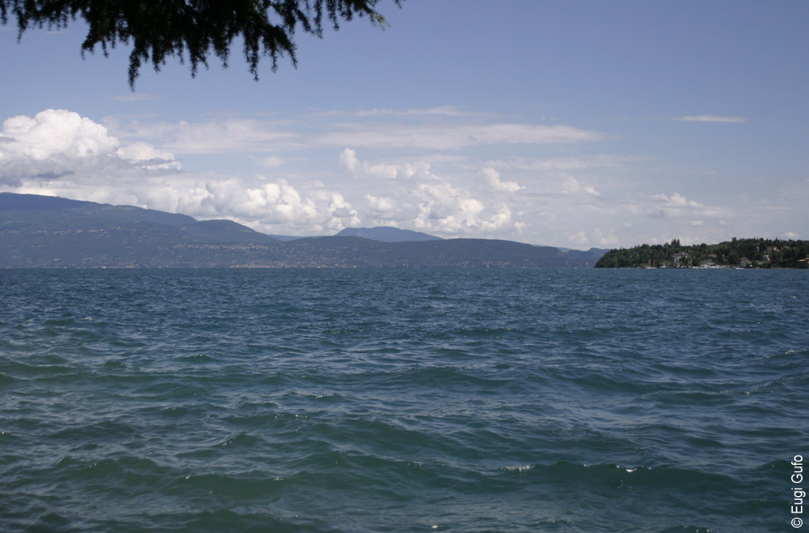 Salo