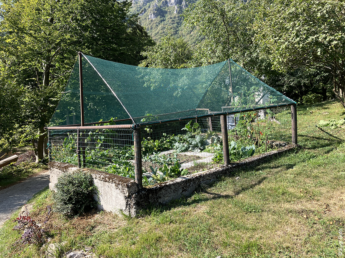 un orto di montagna