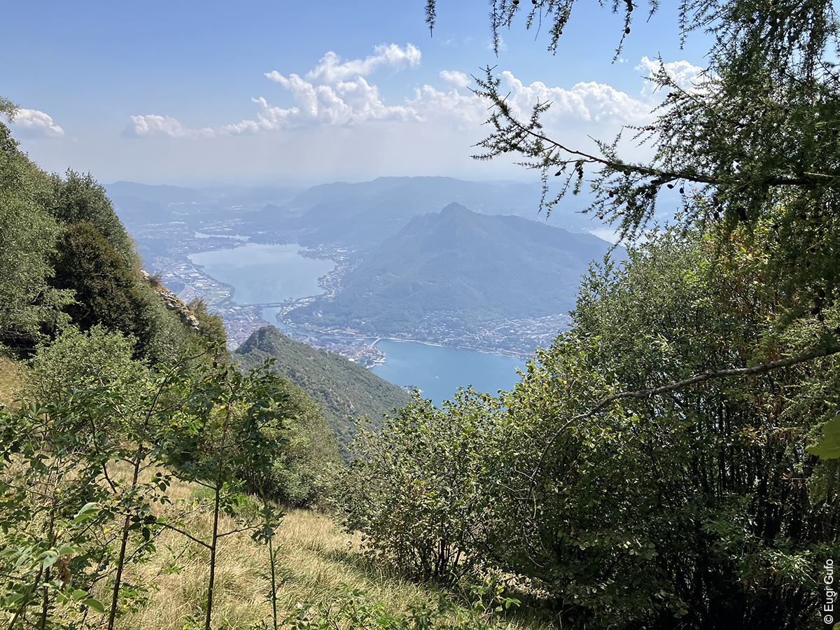 paesaggi montani